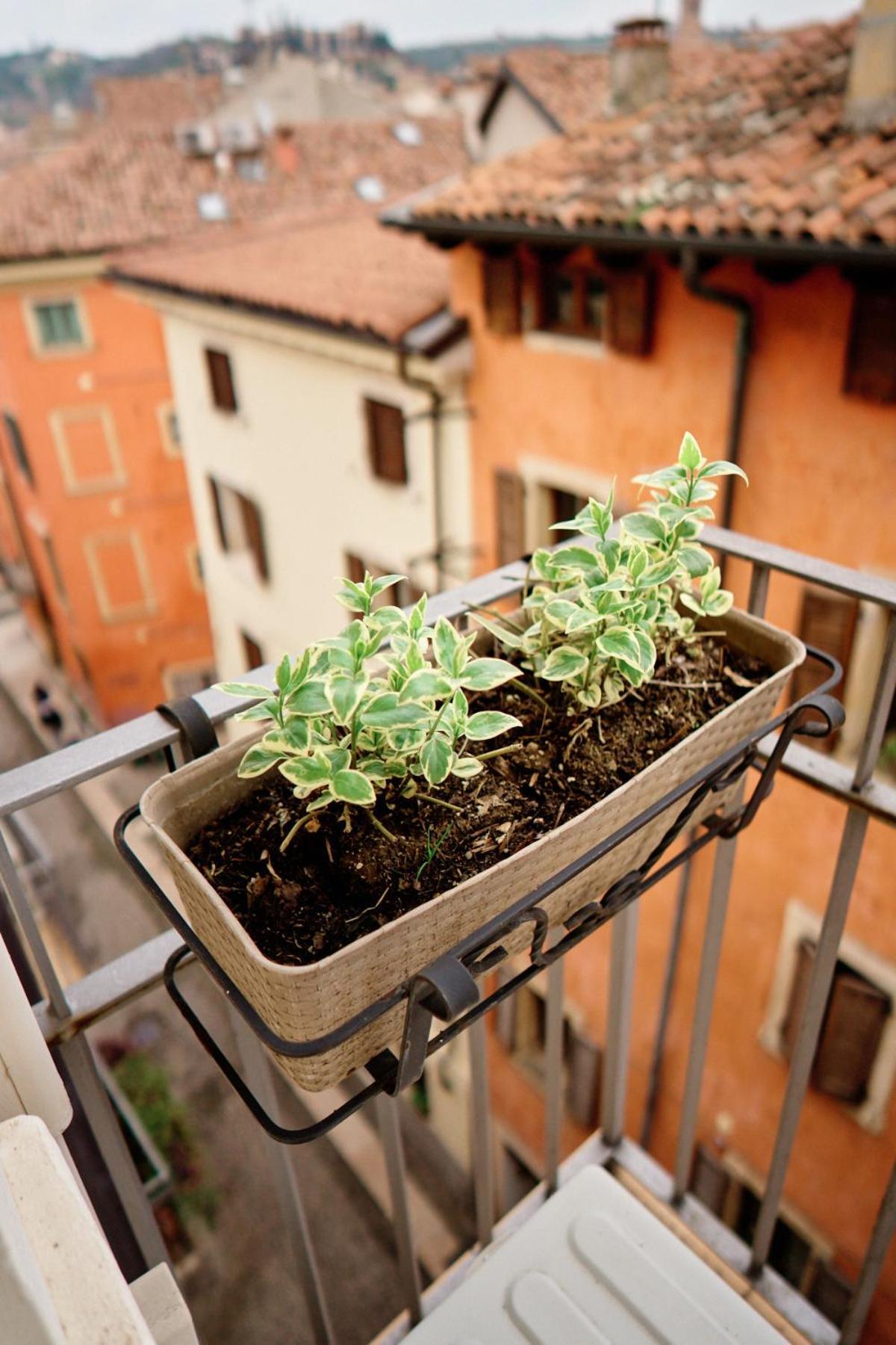 Vista Apartments Verona Eksteriør bilde